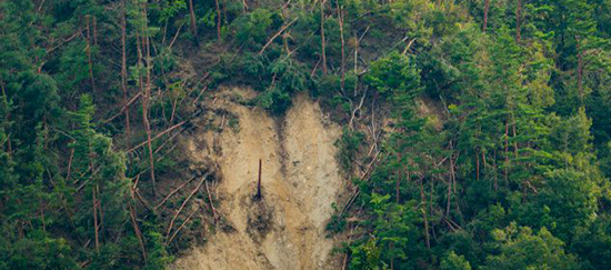 管理されない森は、土砂災害の危険が増していく。