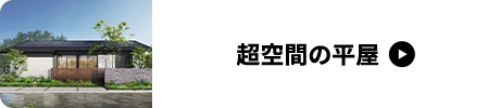 超空間の平家