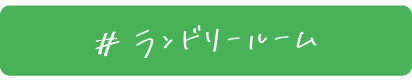 ランドリードーム