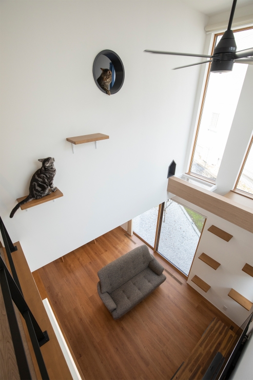 「猫が楽しめる家」をテーマに