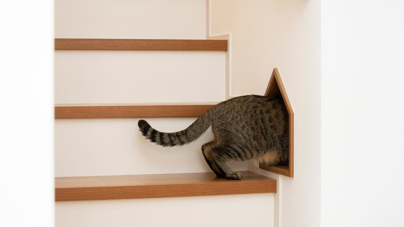 階段途中にある猫ドアの先には・・・