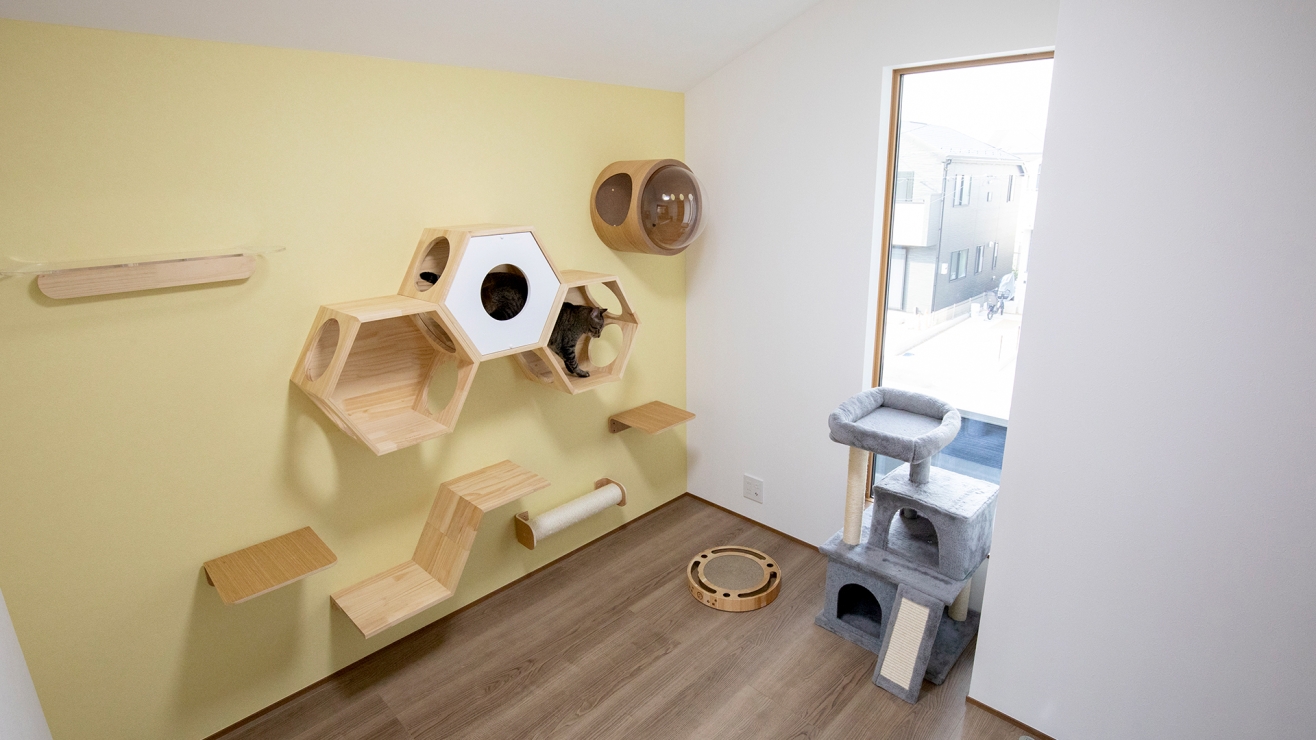 壁一面が、猫のジャングルジム。思う存分遊べる専用ルーム