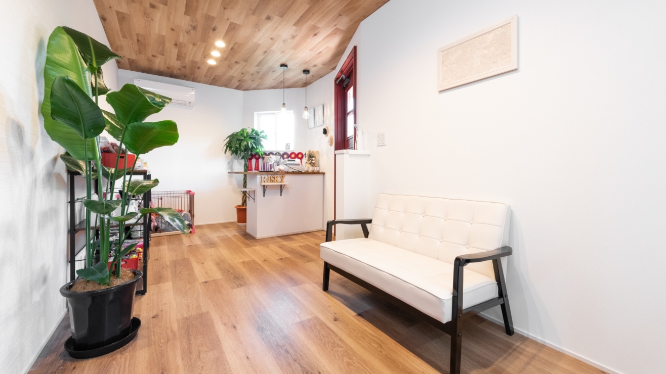 木の質感に包まれた受付兼待合室