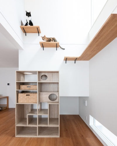 ひとも猫も快適な動線。デザイン性と遊び心を両立した住まい