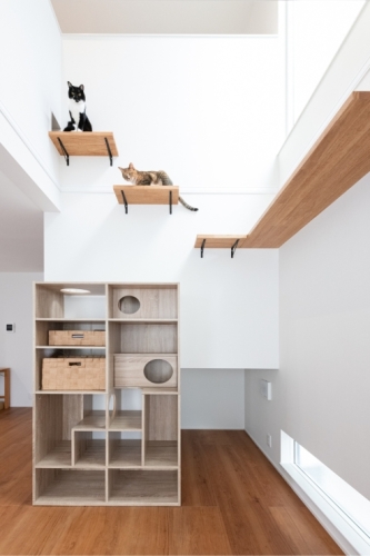 ひとも猫も快適な動線。デザイン性と遊び心を両立した住まい