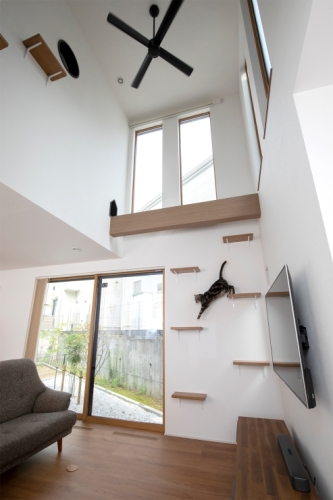 2匹の愛猫とのびのび暮らす。猫が楽しめる家
