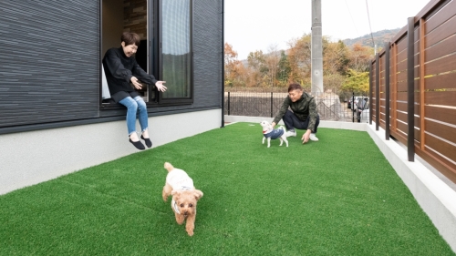 愛犬との暮らしと遊び心を楽しむ、機能美あふれる平屋の家
