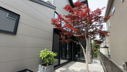 ハーフ吹き抜けの家のキッチン