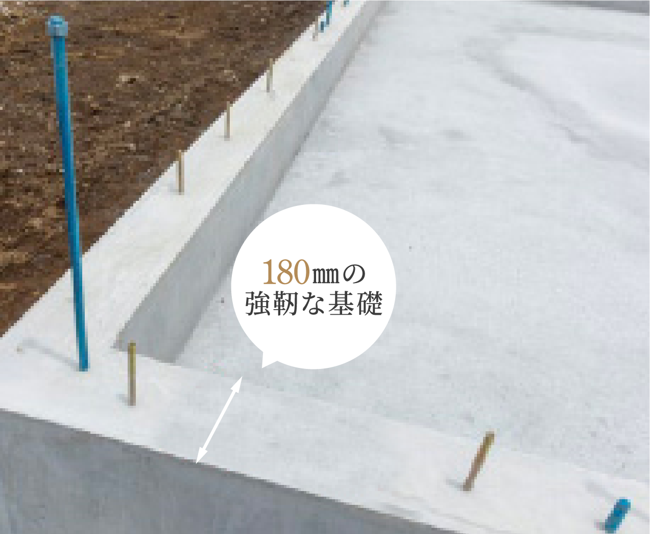 超空間の平屋 ワンフロアで叶える高天井×大開口住宅