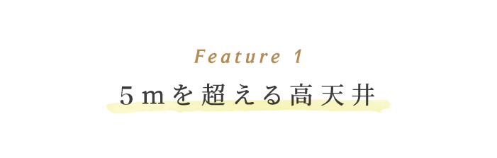 超空間の平屋 ワンフロアで叶える高天井×大開口住宅