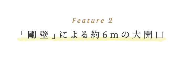 超空間の平屋 ワンフロアで叶える高天井×大開口住宅