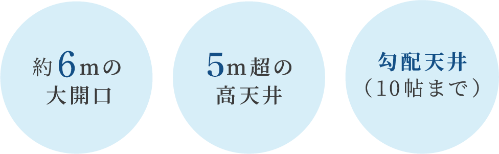 超空間の平屋 ワンフロアで叶える高天井×大開口住宅