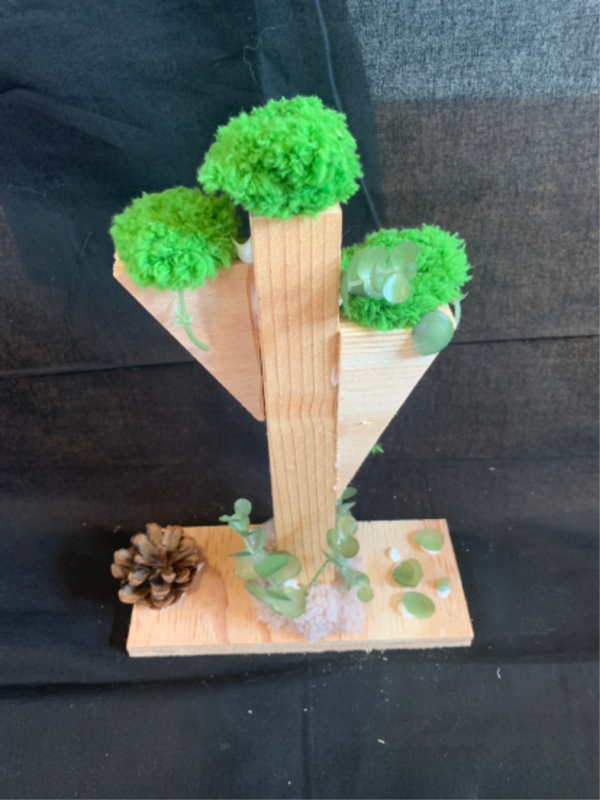 植物の命
